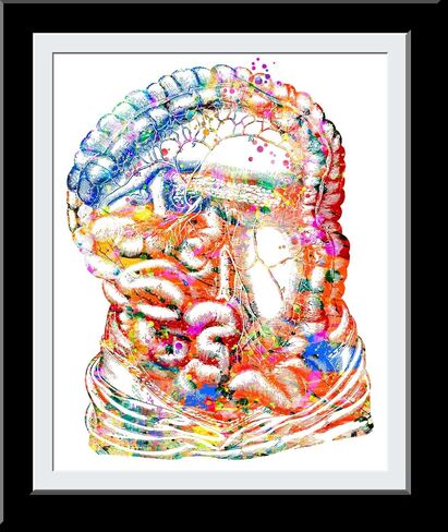 Intestine Art Print, Medical Art work Body Art Prints Skeleton Art, Office decor, Doctor, Nurse, Hospital Pediatrics Chiropractor Wall Art Art Prints, Medical Gifts - UnFramed 8x10 inch in Saudi Arabia