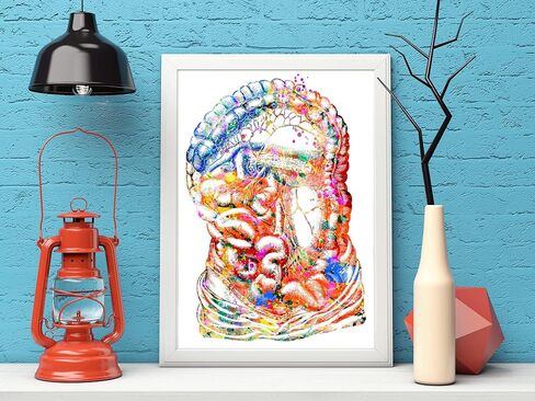 Intestine Art Print, Medical Art work Body Art Prints Skeleton Art, Office decor, Doctor, Nurse, Hospital Pediatrics Chiropractor Wall Art Art Prints, Medical Gifts - UnFramed 8x10 inch in Saudi Arabia