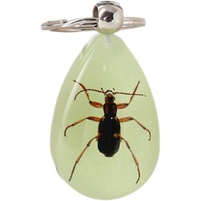 سلسلة مفاتيح Aliravine Real Insect - عينة حيوانات مصنوعة يدويًا من الراتنج - سلاسل مفاتيح رائعة وفريدة من نوعها وحلية حقيبة الظهر - سلسلة مفاتيح السيارة in Kuwait