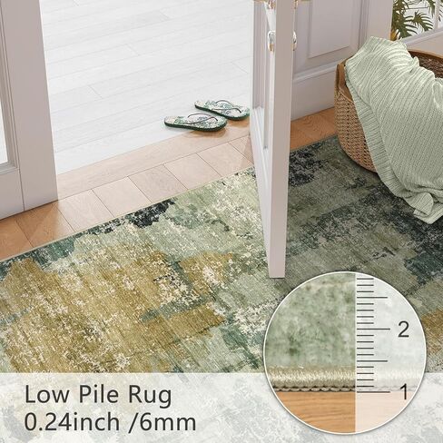Abstract Area Rug 3x5 Entryway Green Washable Rugs Non-Slip Soft Small Area Rug Door Mat Stain Resistant Foldable Low Pile Floor Carpet for Entrance Kitchen Hallway Home Office Kids Room in Saudi Arabia