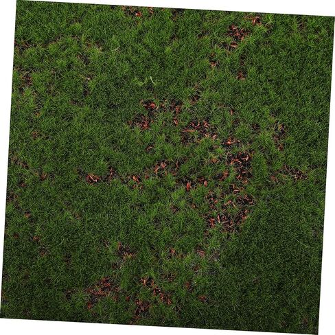 Artificial Moss Mat Realistic Fake Grass Rug for Indoor Outdoor Decor Decorative Plants for Crafts Terrariums Fairy Gardens Faux Lawn Turf Mat in Saudi Arabia