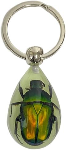 Aliravine Real Insect Keychain – Handmade Resin Animal Specimen – Unique Cool Keychains and Backpack Ornament – Car Keychain in Saudi Arabia