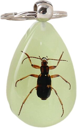 سلسلة مفاتيح Aliravine Real Insect - عينة حيوانات مصنوعة يدويًا من الراتنج - سلاسل مفاتيح رائعة وفريدة من نوعها وحلية حقيبة الظهر - سلسلة مفاتيح السيارة in Kuwait