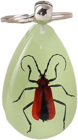 Aliravine Real Insect Keychain – Handmade Resin Animal Specimen – Unique Cool Keychains and Backpack Ornament – Car Keychain in Saudi Arabia