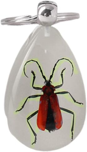 Aliravine Real Insect Keychain – Handmade Resin Animal Specimen – Unique Cool Keychains and Backpack Ornament – Car Keychain in Saudi Arabia