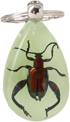 Aliravine Real Insect Keychain – Handmade Resin Animal Specimen – Unique Cool Keychains and Backpack Ornament – Car Keychain in Saudi Arabia