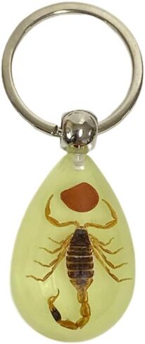 Aliravine Real Insect Keychain – Handmade Resin Animal Specimen – Unique Cool Keychains and Backpack Ornament – Car Keychain in Saudi Arabia