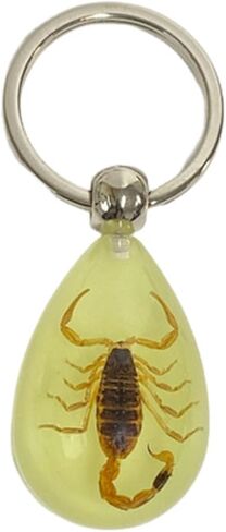 Aliravine Real Insect Keychain – Handmade Resin Animal Specimen – Unique Cool Keychains and Backpack Ornament – Car Keychain in Saudi Arabia