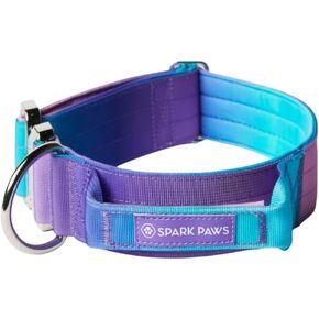 Tactical Dog Collar with Handle - Premium Quality Collar, Robust and Durable Design for Large, Strong Breeds - Pitbulls, Labradors, GSD - Black - S - 1.5"