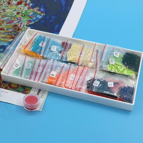 2 قطعة منظم صينية رسم ماسي مقاس 10 × 6 بوصة كبير جدًا، صواني بلاستيكية للخرز، إكسسوارات فنية ماسية، أدوات منقطة من حجر الراين لفن الأحجار الكريمة DIY باللون الأبيض in Kuwait