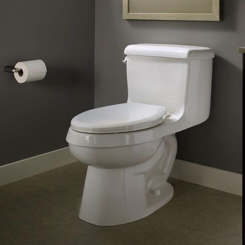 American Standard 5320B65CT.020 Champion Slow-Close Round Front Toilet Seat, White in Saudi Arabia