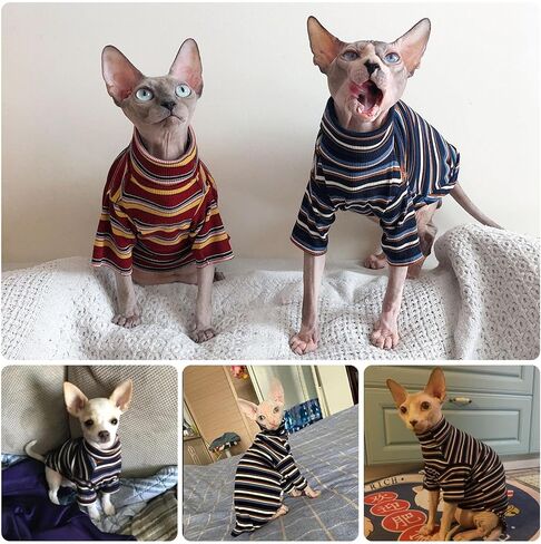 ملابس القطط bonaweite Sphynx، قمصان القطط للقطط فقط، ملابس القطط ذات الياقة المدورة للقطط الذكور الإناث، سترات القطط بدون شعر، تي شيرت مخطط بدون فرو لكورنيش ريكس، ديفون ريكس، بيتربالد in Kuwait