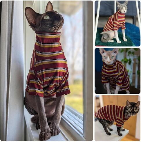 ملابس القطط bonaweite Sphynx، قمصان القطط للقطط فقط، ملابس القطط ذات الياقة المدورة للقطط الذكور الإناث، سترات القطط بدون شعر، تي شيرت مخطط بدون فرو لكورنيش ريكس، ديفون ريكس، بيتربالد in Kuwait
