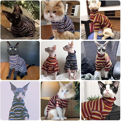 ملابس القطط bonaweite Sphynx، قمصان القطط للقطط فقط، ملابس القطط ذات الياقة المدورة للقطط الذكور الإناث، سترات القطط بدون شعر، تي شيرت مخطط بدون فرو لكورنيش ريكس، ديفون ريكس، بيتربالد in Kuwait