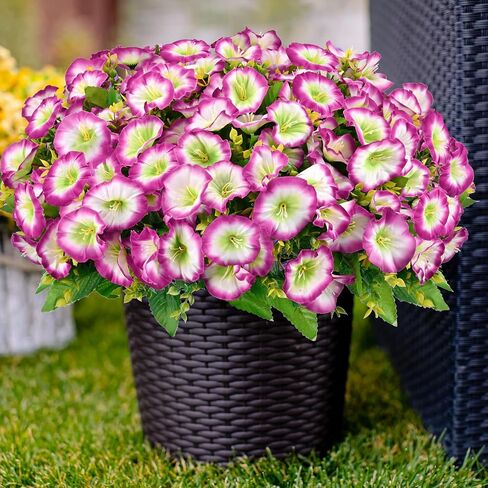 Rywicle 10 Bundles Artificial Flowers Outdoor UV Resistant Fake Flowers Faux Floral for Soft and Fluffy Pot Faux Plants for Garden Indoor Outside Planter Fake Plants-Rose Red in Saudi Arabia