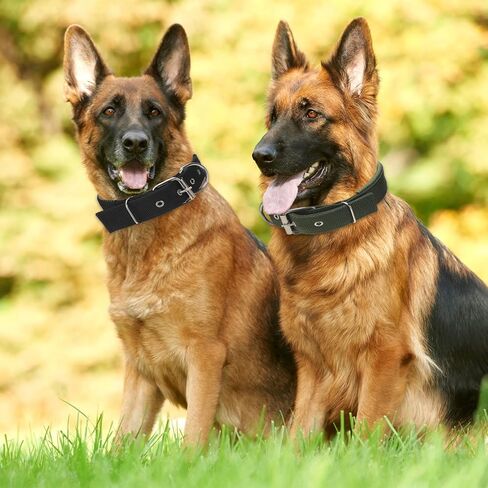 Kacctyen 8 قطع طوق كلب تكتيكي شديد التحمل للكلاب الكبيرة، طوق كلب عسكري قابل للتعديل من النايلون، طوق مارتينجال للتدريب على المشي والصيد (XL، 4 ألوان) in Kuwait