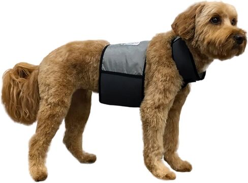 سترة تبريد وطوق تبريد للكلاب من CoolerDog - سترة ثلج للكلاب مقاس كبير (مقاس 27 بوصة إلى 34 بوصة) in Kuwait