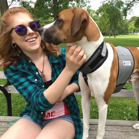 سترة تبريد وطوق تبريد للكلاب من CoolerDog - سترة ثلج للكلاب مقاس كبير (مقاس 27 بوصة إلى 34 بوصة) in Kuwait