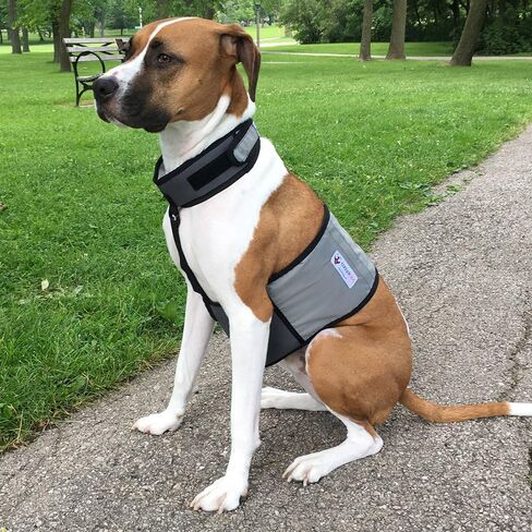 سترة تبريد وطوق تبريد للكلاب من CoolerDog - سترة ثلج للكلاب مقاس كبير (مقاس 27 بوصة إلى 34 بوصة) in Kuwait