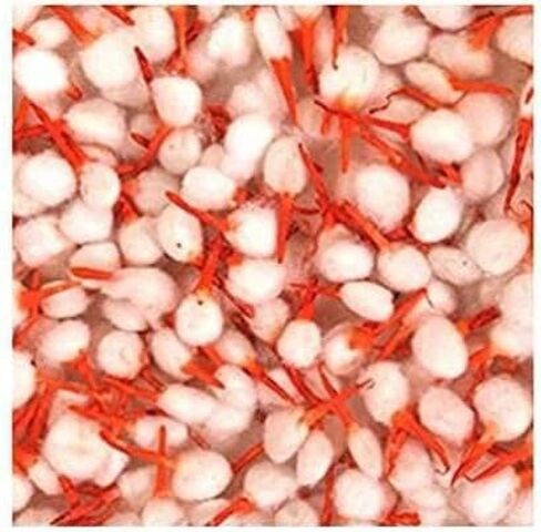 فتائل قطنية Diya Puja Batti أو فتائل دائرية أو فتائل قطنية Jyot Batti لمصباح Pooja فتائل قطنية (عبوة من 250) فتائل قطنية/قطن كيسار فتائل Diya Batti Ghee Wick Phool Batti (عبوة من 250) in Saudi Arabia