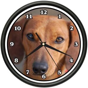 ساعة حائط من SignMission باللون البني من Dachshund هدية لسلالة الكلاب الأليفة in Kuwait
