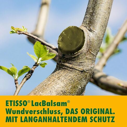 Etisso® LacBalsam® Wound Closure for Trees (385 g) · Wound Balm Tree · Tree Plaster for Bark Injury & Cuts · Tree Wax for Wound Treatment · Specially for Ornamental Trees & Fruit Trees in Saudi Arabia