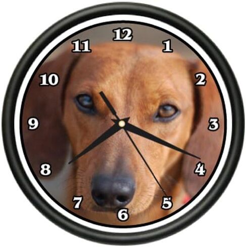 ساعة حائط من SignMission باللون البني من Dachshund هدية لسلالة الكلاب الأليفة in Saudi Arabia