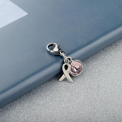 CHOORO Pink Ribbon Clip on Charm Breast Cancer Awareness Pin Pink Awareness Zipper Pull Breast Cancer Support Gift in Saudi Arabia