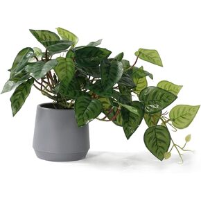 Pmyra Fake Pothos in Pots,Realistic Devil's Ivy Plant,Potted Plant Indoor Faux Plants,Artificial House Plants for Bedroom Farmhouse Bathroom Kitchen Office Desk Shelf Decor in Saudi Arabia