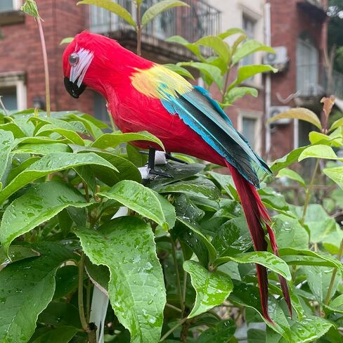 Pirate Parrot on Shoulder Life Size Foam Feather Parrot Macaw Birds for Decoration Costume Shoulder Ornament Modern Home Garden Party Decor (Red Yellow Style 1) in Saudi Arabia