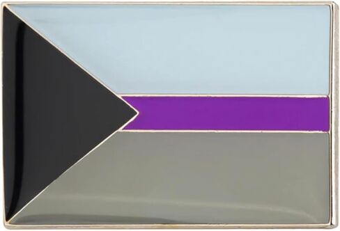 Demisexual Demi-aromantic Asexual Aromantic Demisexuality Pride Rights Rainbow LGBTQ Gay Queer Flag 1" Enamel Pin Badge in Saudi Arabia