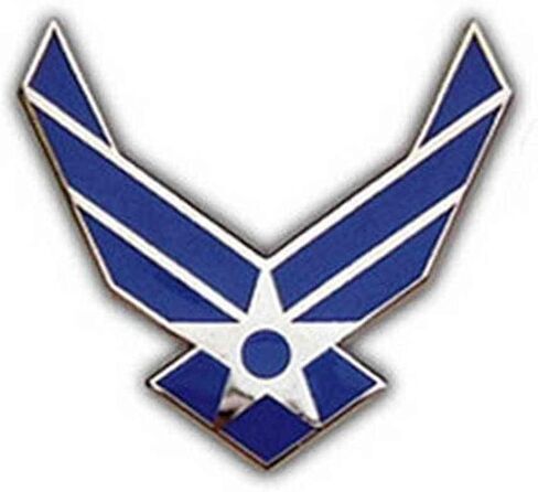 United States Air Force Logo Hat/Lapel Pin in Saudi Arabia