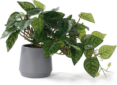 Pmyra Pothos وهمية في الأواني، نبات لبلاب الشيطان الواقعي، نباتات صناعية داخلية بوعاء، نباتات منزلية اصطناعية لغرفة النوم والمزرعة والحمام والمطبخ والمكتب وديكور الرف in Saudi Arabia