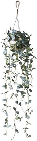 ZEKEHOMEDECOR Artificial Plastic Plant Vine Small Hanging Basket Ornament for Indoor Walls, Shelves, Cabinets, Kitchens, Studies, Desks, Living Rooms 3.5-Inch Basket (Leaf B) in Saudi Arabia