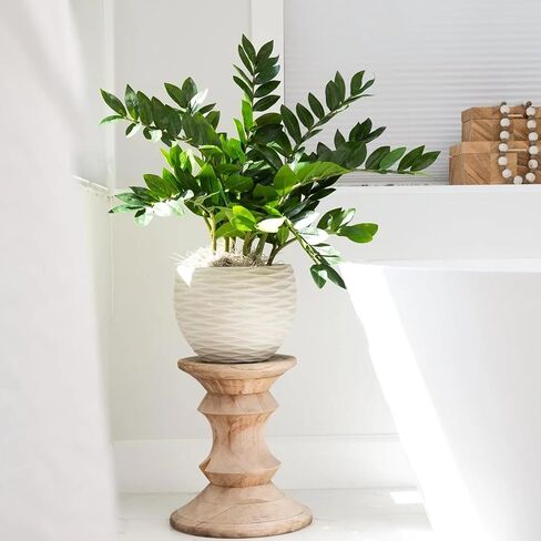 Geniff Artificial Plants Indoor ZZ Plant Fake Plant 34" Potted Plastic Plants for Home Office Desk Farmhouse Room Bathroom Decor in Saudi Arabia