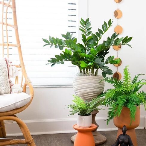 Geniff Artificial Plants Indoor ZZ Plant Fake Plant 34" Potted Plastic Plants for Home Office Desk Farmhouse Room Bathroom Decor in Saudi Arabia