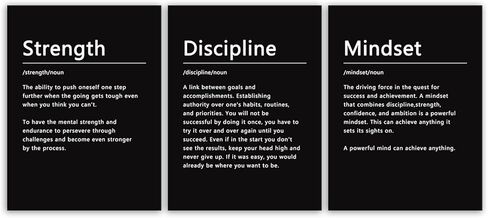 Strength Discipline Mindset Noun Inspirational Painting Wall Art 3 Pieces Canvas Print Office Wall Decor Poster Inspiring Framed Motivational Quotes for Wall Art Decoration Ready to Hang[36''Wx 16''H] in Saudi Arabia