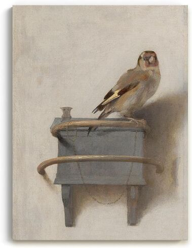 لوحة فنية جدارية من القماش من Goldfinch - لوحة فنية جدارية قديمة من القماش ملفوفة - مطبوعات لوحات طيور خالدة لغرفة المعيشة أو غرفة النوم أو المكتب - ديكور منزلي أنيق، عمل فني عتيق لديكور الحائط مقاس 12 بوصة × 16 بوصة in Saudi Arabia
