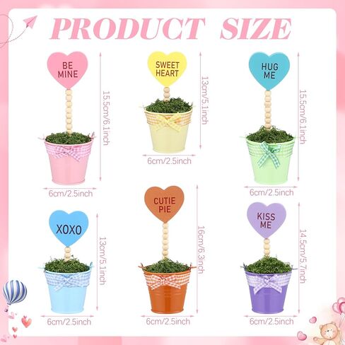 Thyle 6 Pcs Valentines Day Conversation Heart Decor Mini Potted Wooden Sign Set Candy Heart Plant Pot Valentines Day Tabletop Centerpiece Tiered Tray Decor Home Gifts for Lover Family Friend Colleague in Saudi Arabia