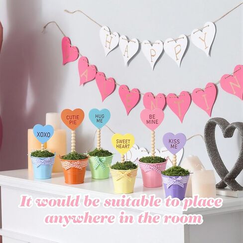 Thyle 6 Pcs Valentines Day Conversation Heart Decor Mini Potted Wooden Sign Set Candy Heart Plant Pot Valentines Day Tabletop Centerpiece Tiered Tray Decor Home Gifts for Lover Family Friend Colleague in Saudi Arabia