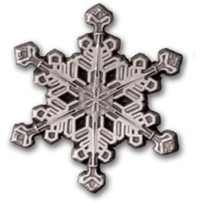 Snowflake Pewter Lapel Pin ORP252 IMC-Retail in Kuwait