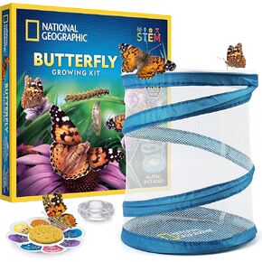 National Geographic Ant Farm Kit - Light-Up Ant Terrarium with Built-in Magnifiers, Tunnel Starter Tool & More, Ant Farms for Kids, Ant Home, Ant Colony, Ant Habitat, Ant House for Kids in Kuwait