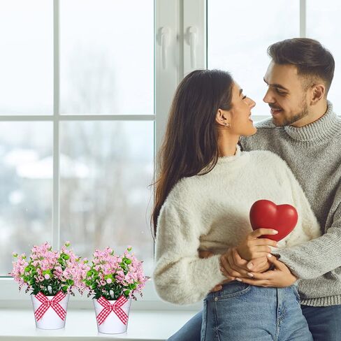 jexine مزرعة طبقات ديكور صينية صغيرة بوعاء ديكور الأوكالبتوس عناصر ديكور النبات للصواني المتدرجة نباتات اصطناعية صغيرة ديكور الأوكالبتوس لديكور المنزل (نمط منقوش وردي) in Saudi Arabia