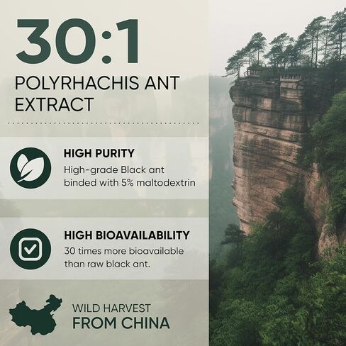 مسحوق مستخلص النمل الأسود من Jungle Powders بتركيز 30:1، 94 حصة - 5 أونصات من مكمل النمل الأسود النقي من Polyrhachis، خالٍ من الحشو، دعم صحي تقليدي للرجال من Changbai Mountain Ant للقيادة in Kuwait