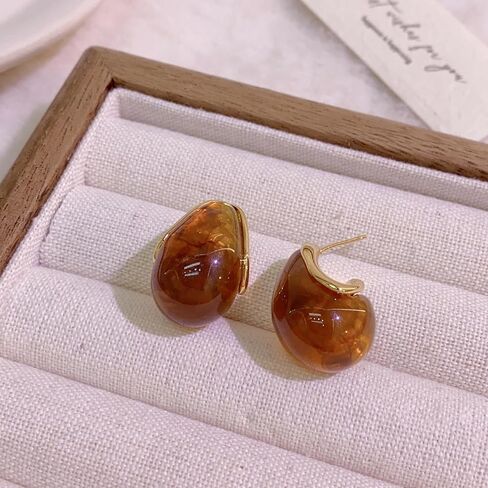 Brown Earrings for Women Vintage Gold Statement Small Stud Earrings Trendy Brown Jewelry Accessories Gift in Saudi Arabia