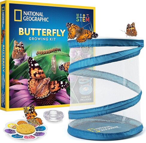 National Geographic Ant Farm Kit - Light-Up Ant Terrarium with Built-in Magnifiers, Tunnel Starter Tool & More, Ant Farms for Kids, Ant Home, Ant Colony, Ant Habitat, Ant House for Kids in Kuwait