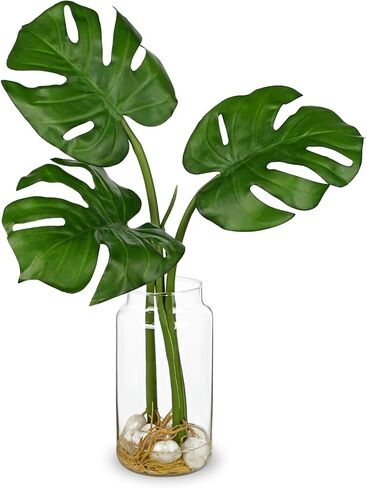 نبات أوراق Monstera الاصطناعي من Oairse في مزهرية زجاجية بمياه صناعية وحصى - 16.5 سم نباتات استوائية وهمية نبات سلحفاة الظهر يترك نباتات Monstera الجذعية لديكور المنزل الداخلي المركزي للمزرعة in Kuwait
