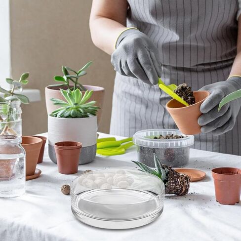 مزهرية زجاجية أسطوانية، بطول 3 بوصات × 8 بوصات واسعة وسميكة، مزهرية زجاجية شديدة التحمل للزهور والنباتات - وعاء زجاجي واسع مزخرف للنباتات العصارية والأعشاب والنباتات الداخلية والمراب والبستنة المائية وديكور المنزل in Kuwait