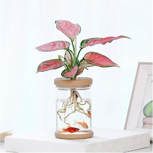 Transparent Plant Vase, Hydroponic Flower Pot with Silicone Lid, Indoor Plant Propagation Station - Suitable for Living Room and Office Desk Decoration in Saudi Arabia