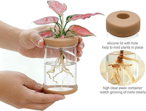 Transparent Plant Vase, Hydroponic Flower Pot with Silicone Lid, Indoor Plant Propagation Station - Suitable for Living Room and Office Desk Decoration in Saudi Arabia